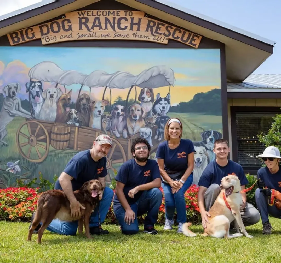 Volunteers and rescue dogs gathered in front of the Welcome to Big Dog Ranch Rescue mural